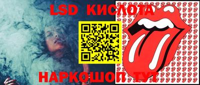 прущие грибы Канаш