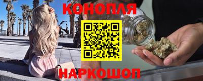 прущие грибы Канаш